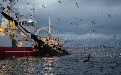 Oceanos y mares