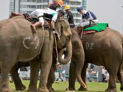 Varios jugadores disputan un partido de polo sobre elefantes el pasado 8 de marzo, en la ciudad de Bangkok (Tailandia).