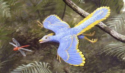 Un Archaeopteryx persigue a una lib&eacute;lula.