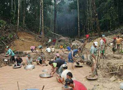 Buscadores de oro trabajan a orillas de rio Juma, a unos 453 kilómetros al sur de Manaos, capital de la Amazonía brasileña.