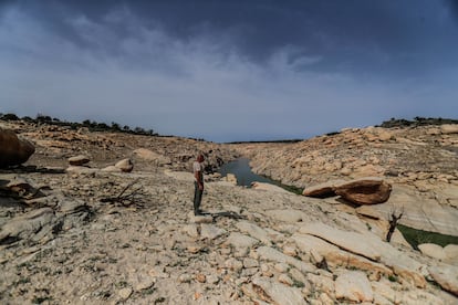 El ganadero Javier Arnés observa el nivel tan bajo del embalse de Almendra a la altura de Villaseco de los Reyes (Salamanca), el pasado lunes.
