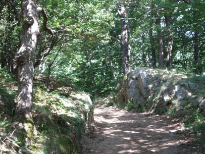 Tramo de la carretera que divide al Montseny