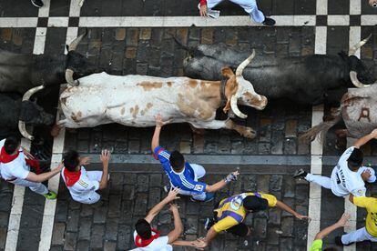 Paso de los toros de la ganadería de José Escolar por la calle Estafeta.