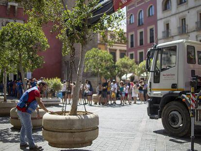 Operarios del Ayuntamiento de Sevilla colocan grandes maceteros en las zonas turísticas de la ciudad.