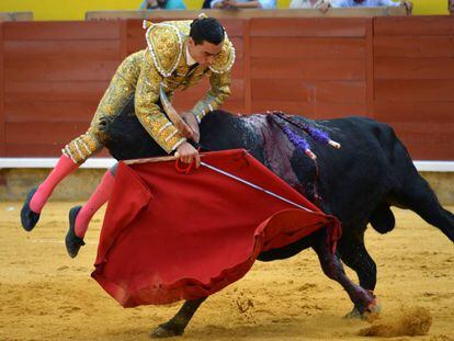 Momento de la cogida de Paco Ureña en Palencia.