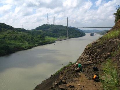Las obras de ampliación del canal de Panamá permitieron analizar estratos con minerales que fueron rastreados hasta llegar a los Andes colombianos.