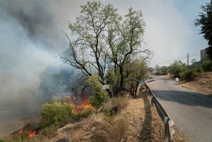 El incendio en la zona de Bufalvent, zona industrial y agricola en las afueras de Manresa.