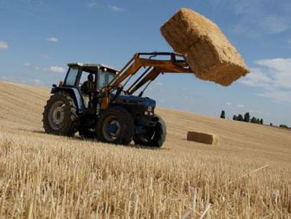 Un tractor recoge las pacas de paja de un campo cosechado cerca de Zamora. 