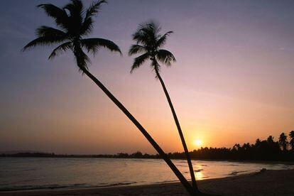 Desde Kota Bahru hasta Kuantan, la costa este de la Malasia continental está trufada de playas interminables de arena y recónditas calas entre las que Cherating destaca como uno de los mejores lugares para holgazanear un rato. Aire decadente y fronterizo, como detenido en el tiempo, y las mejores olas para surfear del país, entre noviembre y febrero.