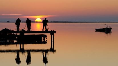 Atardecer en el Delta del Ebro, en Sant Carles de la Ràpita (Tarragona).