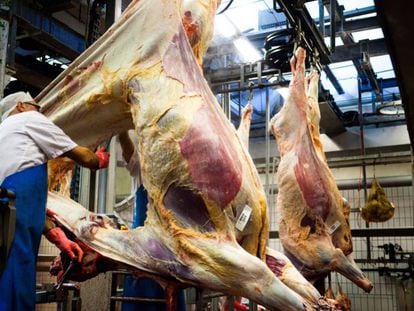 Un carnicero desuella una vaca en un matadero danés.