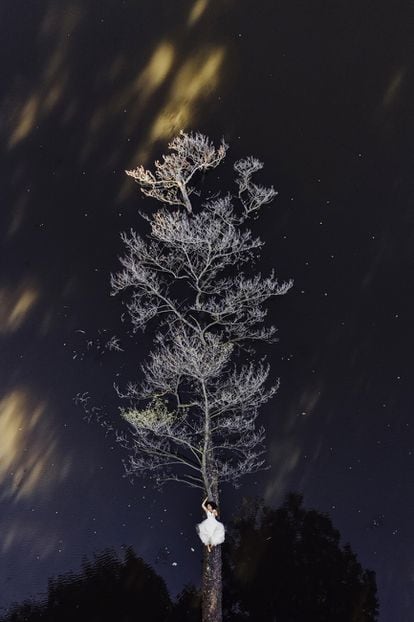 'Like a Painted Picture', de Krzysztof Krawczyk. Puede parecer un árbol que se alza en la noche estrellada, pero es un tronco derribado sobre una lámina de agua. El trabajo de Krawczyk funciona como un magnífico cuadro pintado por la naturaleza. Un trampantojo natural con varias lecturas que le ha valido el primer premio en la categoría Bodas.