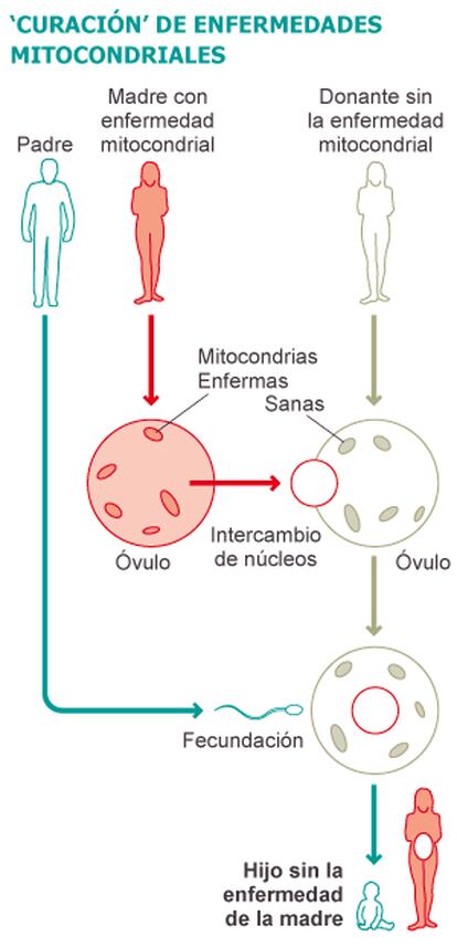 Fuente: elaboración propia.