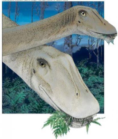 Ilustración de dos ejemplares de distinta edad de <i>Diplodocus carnegii</i>