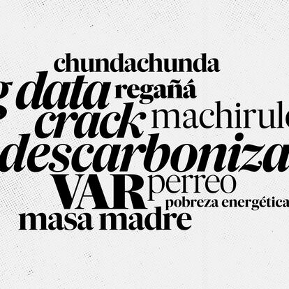 Las nuevas palabras que entran en el ‘Diccionario de la lengua española’: machirulo, ‘big data’, regañá, VAR, perreo, chundachunda y pobreza energética