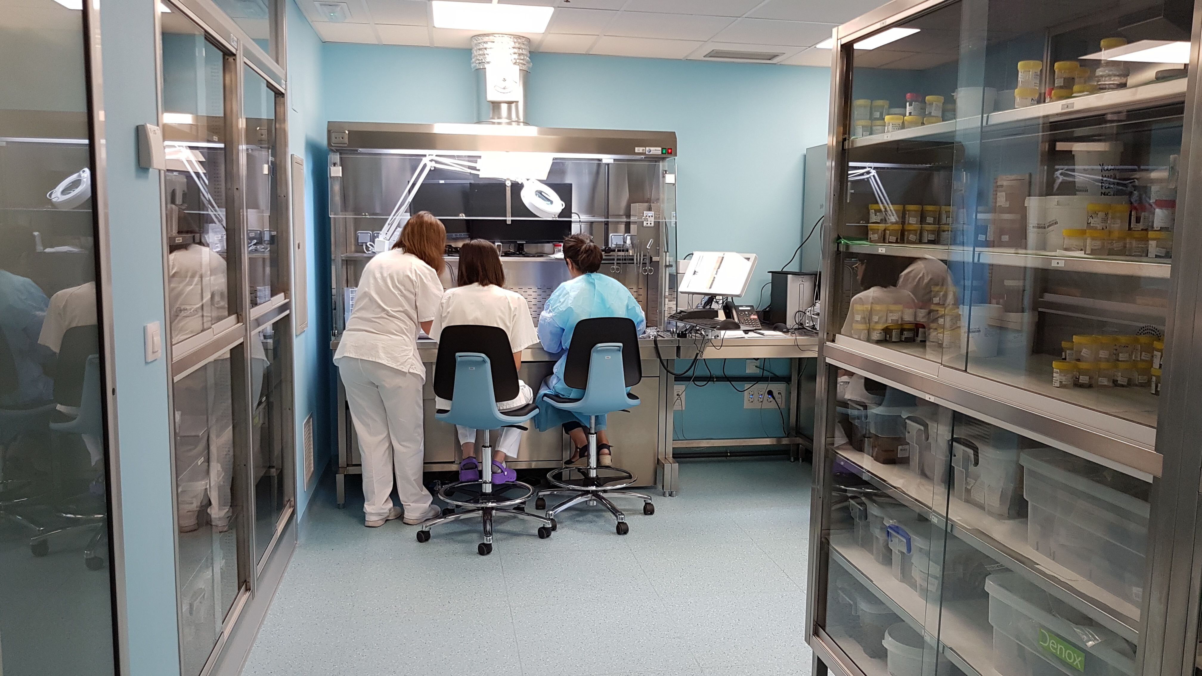 Equipo del servicio de anatomía patológica del Hospital Clínico Lozano Blesa de Zaragoza.