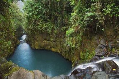 Barranco en la jungla de la isla de Bioko, en Guinea Ecuatorial.