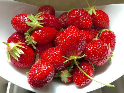 EL SABOR SUPERA A SU ASPECTO / CAPEL