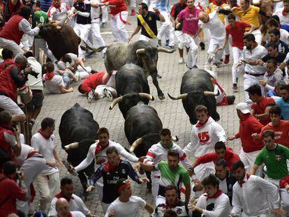 Los toros de la ganadería Miura, el año pasado en San Fermín. durante el octavo encierro de San Fermín.