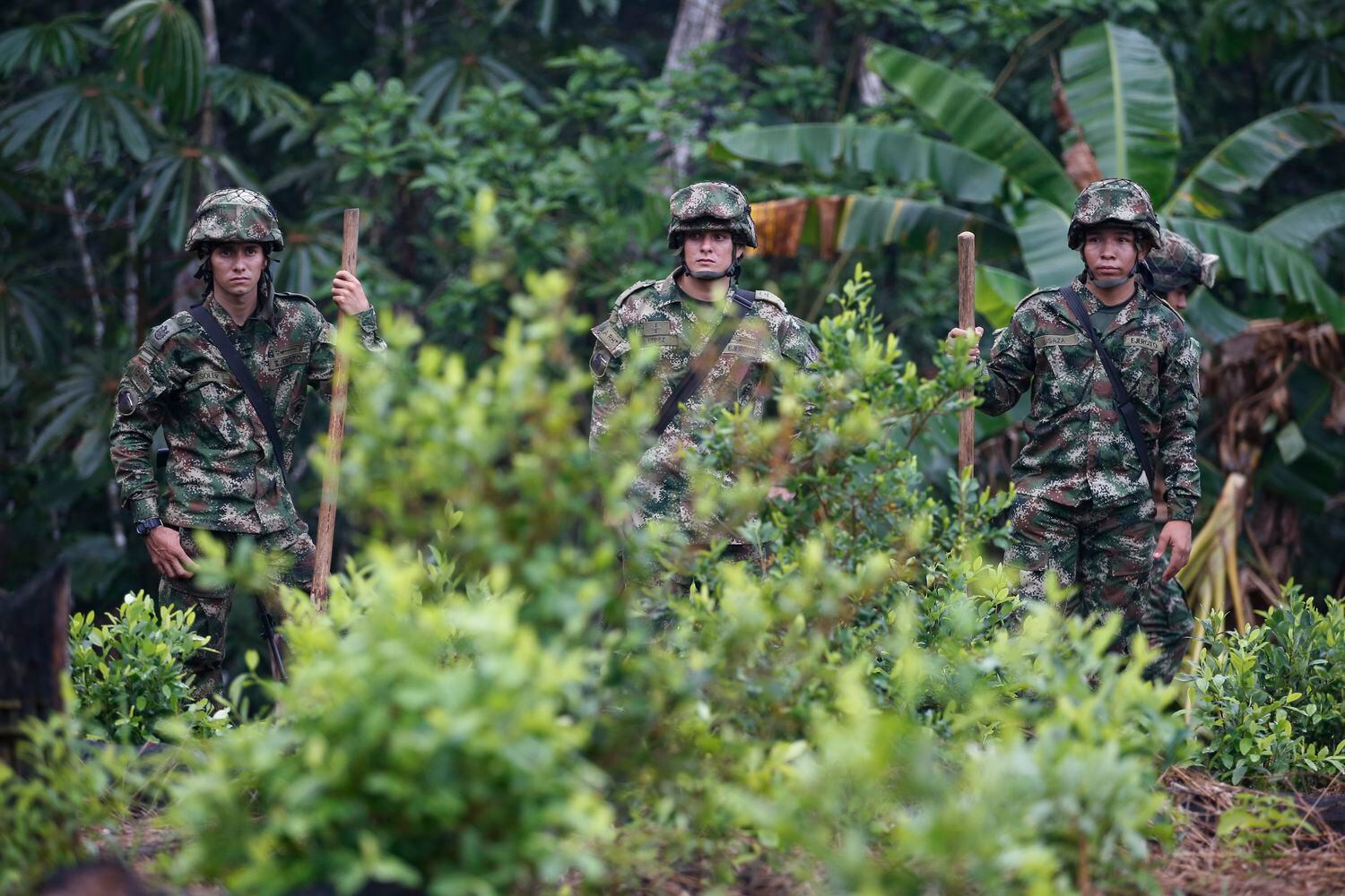 Soldados del ejército colombiano realizan un operativo de erradicación de hoja de coca en San José del Guaviare en marzo de 2019