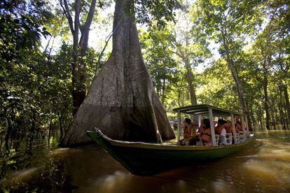 Es el río más grande del mundo, con una selva casi impenetrable que invita a la aventura: surcar zigzagueantes cursos de agua en canoa, caminar por frondosos senderos o escudriñar la cubierta arbórea en busca de monos, perezosos y otras criaturas. Manaos es el punto de partida más socorrido para surcar el Amazonas en su parte brasileña (en la foto).