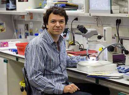 Antonio Giráldez, en el Instituto de Investigación Biomédica de Barcelona.
