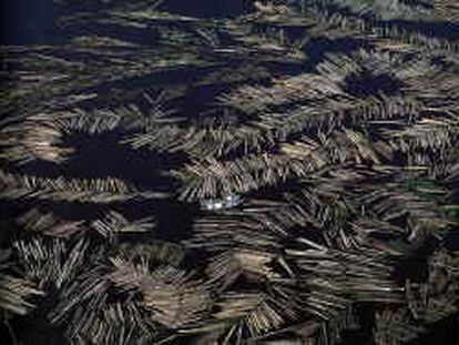 b sin nº ni fecha -repro- Armadias en el Amazonas cerca deManaos. Foto perteneciente a la expo. "La terra desde del cel" de Yann Arthus - Bertrand.