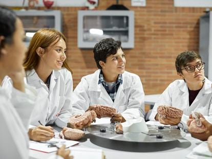 Un grupo de alumnos durante una clase de anatomía, en una universidad de Bogotá.