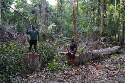 Dos indígenas kayapo posan este viernes junto a árboles talados en Novo Progreso.