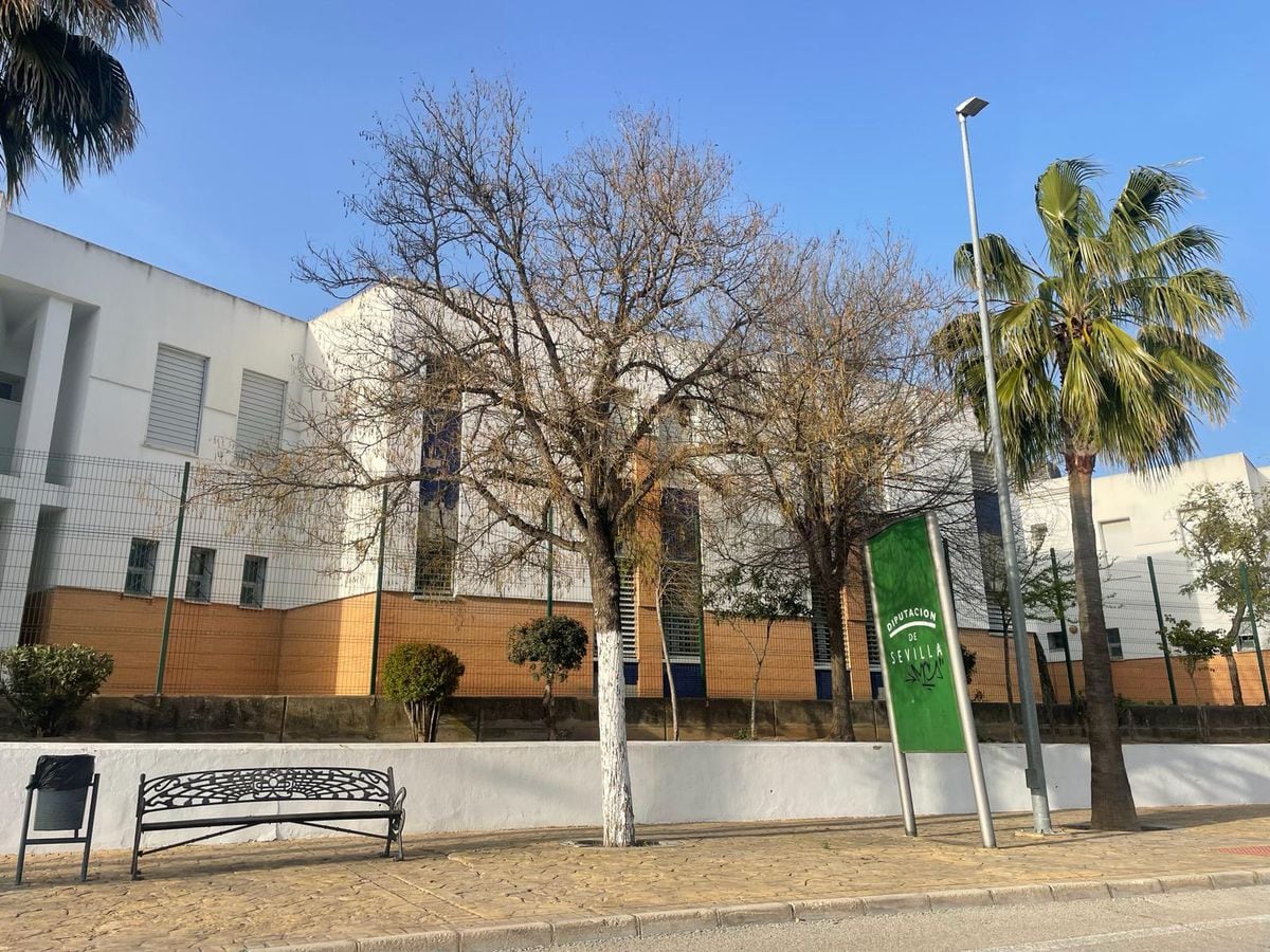 The strange connection of Ayuso’s boyfriend with three residents of Seville whom the Prosecutor’s Office also denounces: “There are always smart people” |  Madrid News