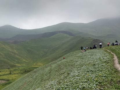 Las lomas del valle de Lurín, en Perú, sirven de lugar de recreación para numerosas personas. Se sube a ellas a pie, para disfrutar el paisaje verde creado temporalmente por la humedad.