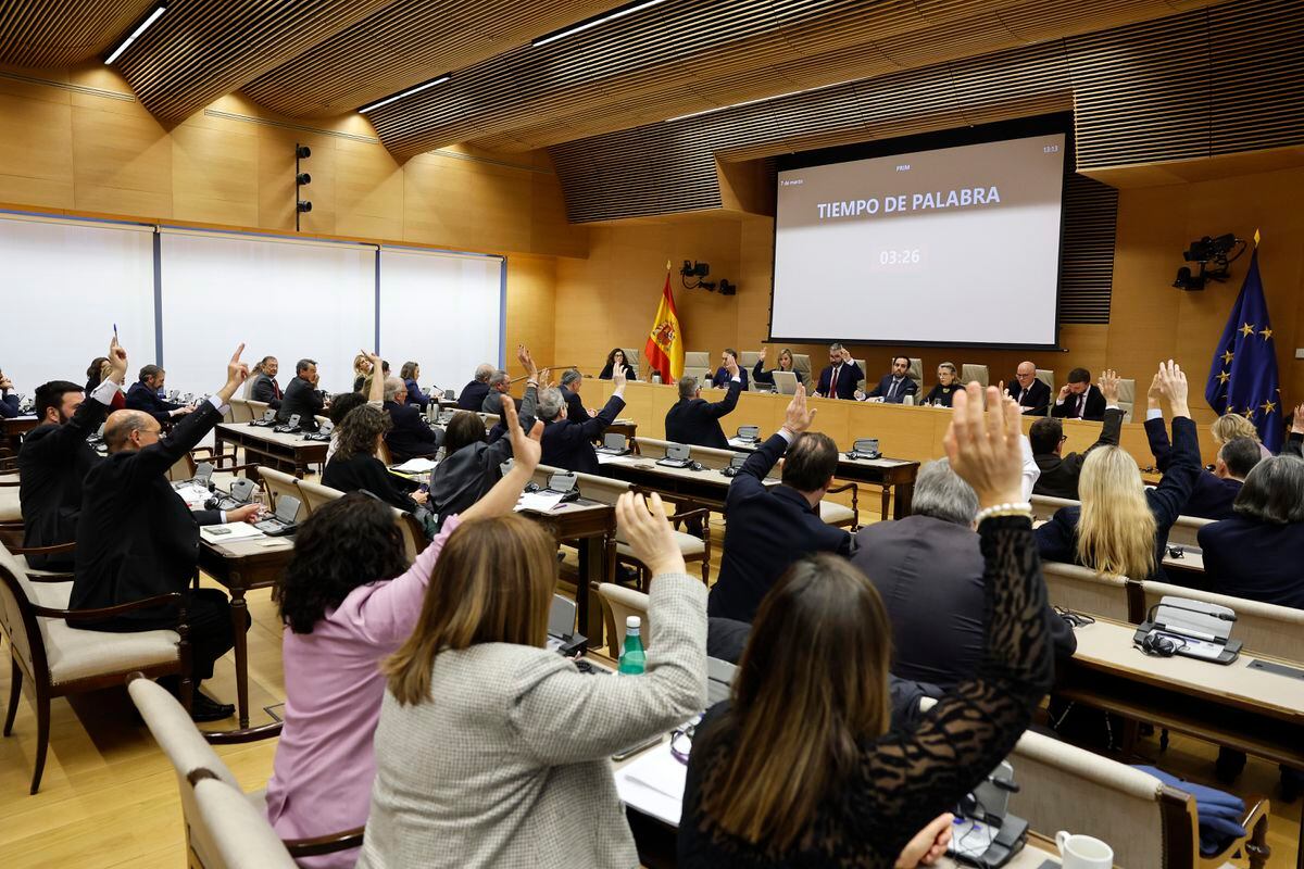 Amnesty law: Constitutional, international and criminal law jurists rule out a clash between the Spanish Penal Code and the European directive |  Spain