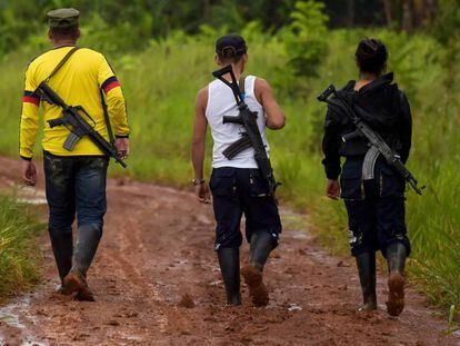 Miembros de la disidencia de las FARC en el departamento del Guaviare.