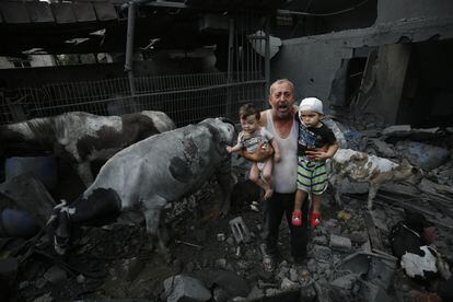 Un hombre sostenía en sus brazos a dos niños heridos, este domingo, entre ganado y edificios afectados por ataques israelíes en el campo de refugiados de Nuseirat. 