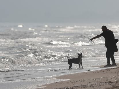 Un hombre pasea a su perro en una de las playas de Valencia.