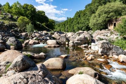 La garganta de Cuartos en La Vera, una comarca fértil y frondosa que en esta especial primavera de 2021 se encuentra en plenitud.