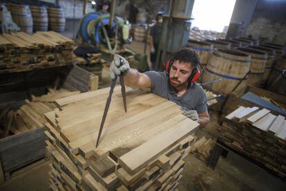 Un trabajador mide y selecciona la madera de roble para el montaje de las barricas.