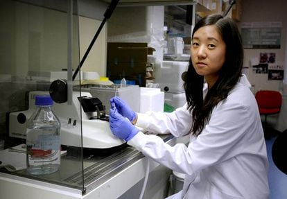 La investigadora Lucía Zhu, en su laboratorio en el CNIO, en Madrid.