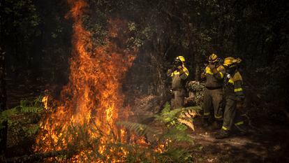 Unos bomberos trabajan en un incendio registrado en O Irixo (Ourense).