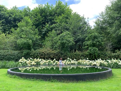 The Annabelle hydrangea hedge behind the pond in the central meadow of Lur Garden.