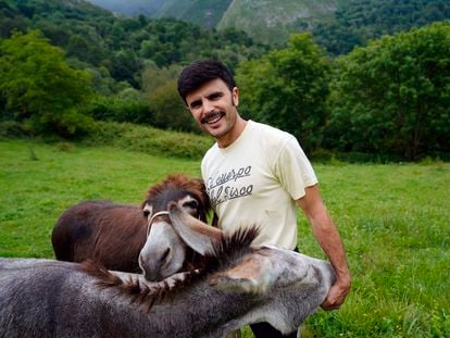 Rodrigo Cuevas, con sus burras 'Faraona' y 'Xuana', en Caperea (Asturias), el pasado julio.