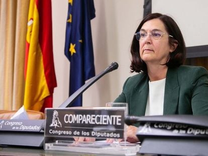 Cani Fernández, durante su comparecencia ante la Comisión de Asuntos Económicos del Congreso, el pasado 11 de junio.