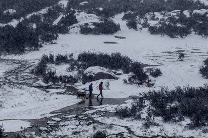 Nieve en Manzanares el Real.