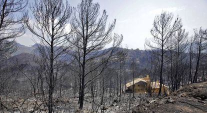 Una de las viviendas afectadas por el incendio forestal de Llutxent (Gandía).