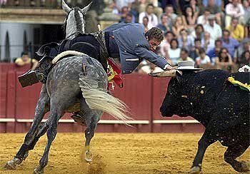 El rejoneador Martín Burgos le pone un sombrero a un toro de la ganadería de Jódar y Ruchena.