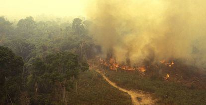 Vista de un incendio en el Amazonas.