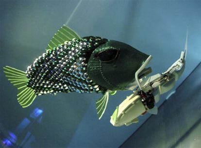 Otro modelo de pez robot se prueba en el Aquarium de Londres