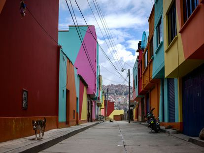 Un perro camina por las calles de La Paz, en Bolivia.