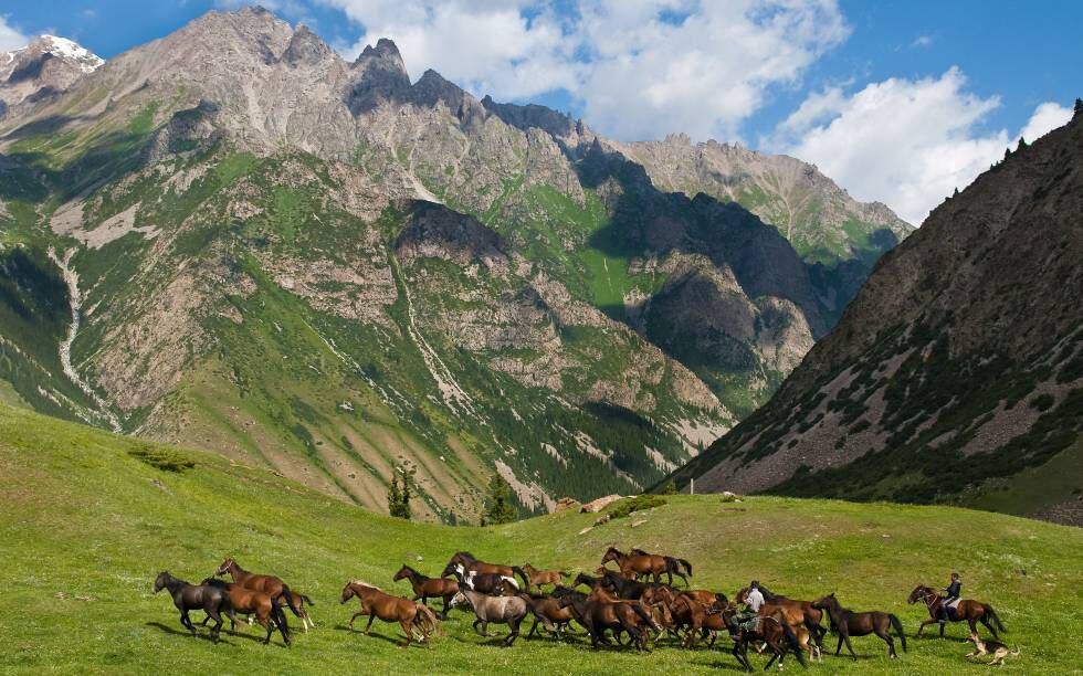 Manada de caballos en los pastos del valle de Juku, en Kirguistán.