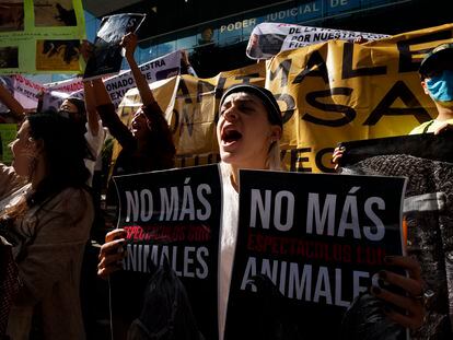 Protesta contra la tauromaquia en Ciudad de México.